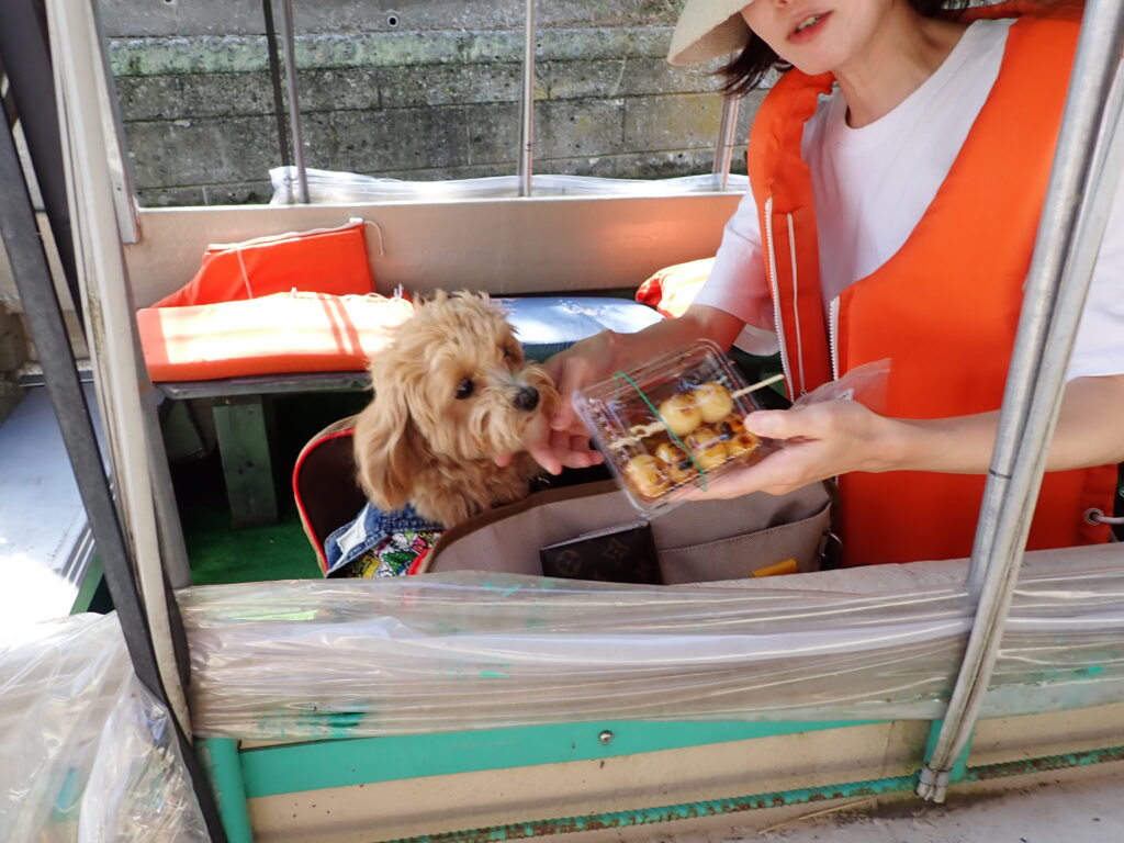 十二橋めぐり犬連れOK