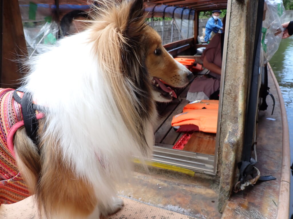 十二橋めぐり犬連れOK