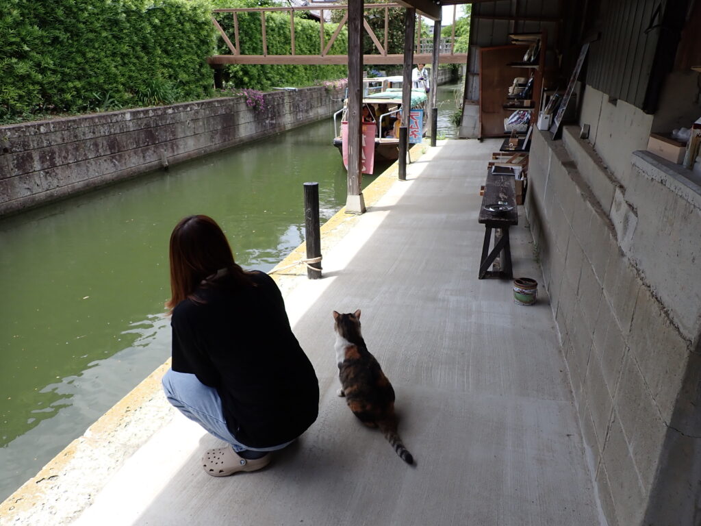河童はうすで舟をお出迎えする猫