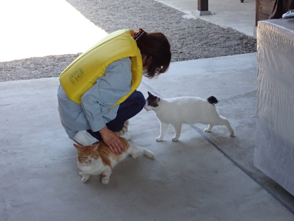 河童はうすのお客様と猫たち
