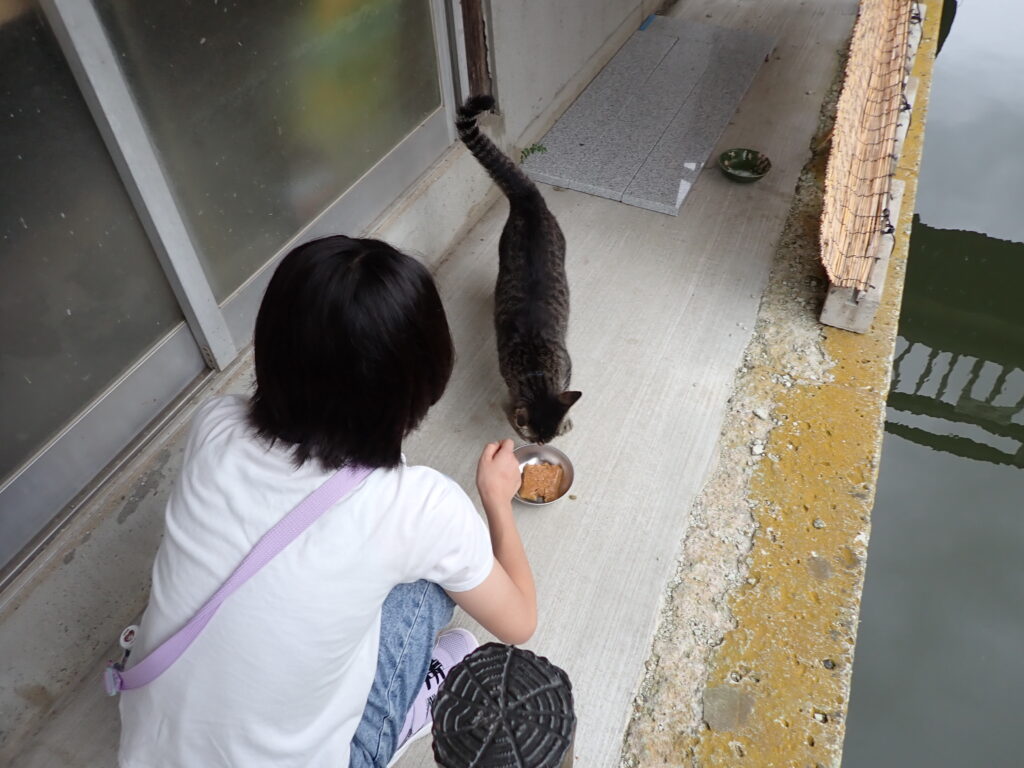 河童はうすの猫